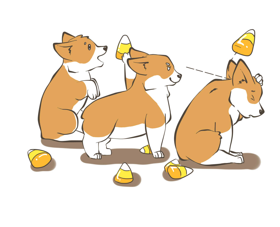 candy corn candy corn