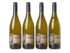Pinot Gris (4)