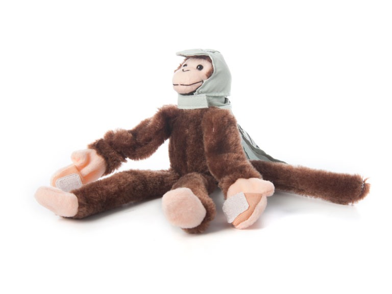 Screaming Woot Monkey