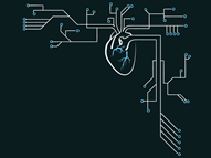 Circuit-ulatory System