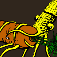 carrot whale & corn squid redux carrot whale & corn squid redux