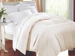 Down Alternative Comforter Ivory-3 Sizes