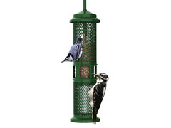 Brome Squirrel Buster Peanut Feeder
