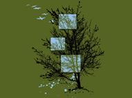 Pockets of Spring