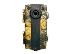 Truth DPS Trail and Game Camera