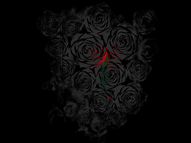 Rosebud