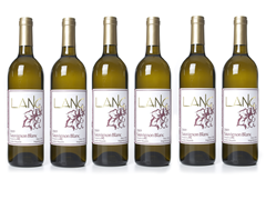 Lang Wines Sauvignon Blanc (6)