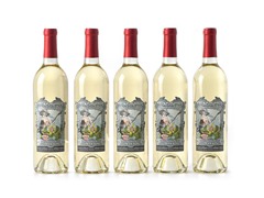 Woot Cellars Triacipedis White III (5)