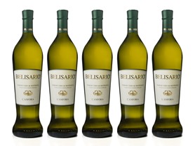 Belisario Verdicchio di Matelica Italian White (5)