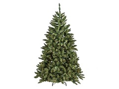 Maryland Pine Tree 10' Prelit Clear