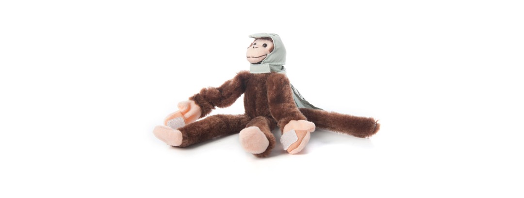 Screaming Woot Monkey