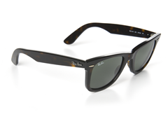 Wayfarer Sunglasses - Tortoise