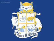 Cats! Cats! Cats!