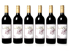 Lang Wines Syrah (6)