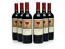 Copa Del Rey Chilean Cabernet (6)