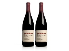 Foppiano Library 1996 Petite Sirah (2)
