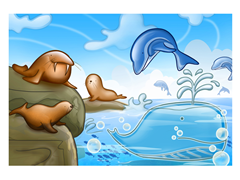 Seals, Dolphins and Whale Cartoon