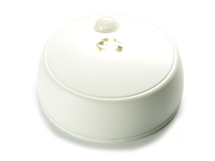 Anywhere Ceiling Light