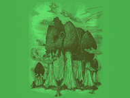 Mammoth Trees