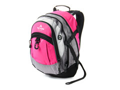 Pink Bookbag/Daypack