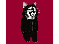 L'Homme à L'Intérieur du Chat