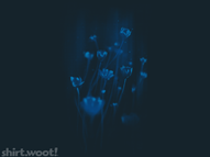 In Bloom