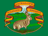 Save the Jackalopes!