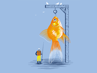 Playing It Koi