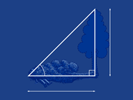 Trigonometree