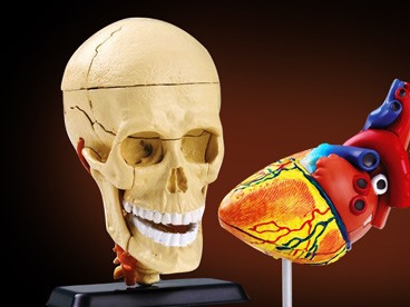 Science Toys aka THE AWESOMEST TOYS EVER