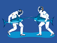 Swordfish Fencing