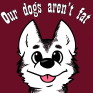 They're Husky! They're Husky!