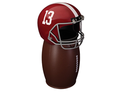 Alabama FANbasket