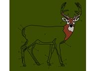 Deer By Numbers