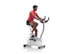 Schwinn 120 Upright Bike