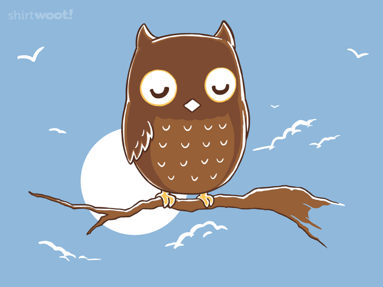 Nocturnowl