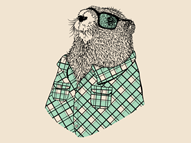 Meet the Woodchuck