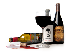 Lido Bay Sampler (3)
