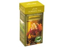 Primula Flowering Tea Jasmine 8-Pack