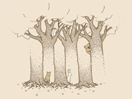 Can’t see the forest…