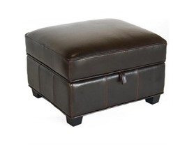Benvolio Leather Storage Ottoman
129.99
New