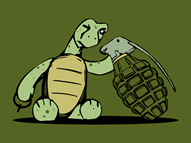Curious Little Turtle