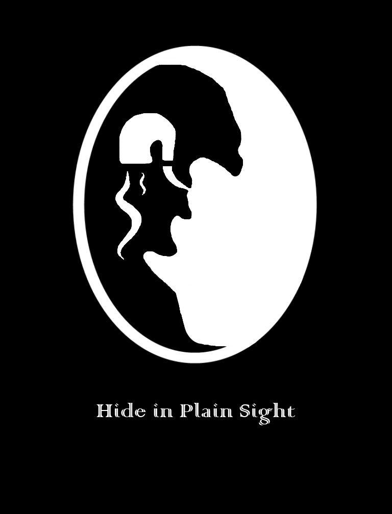 Hide in Plain Sight Hide in Plain Sight