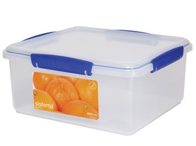 Rectangular Food Container - 21 Cups