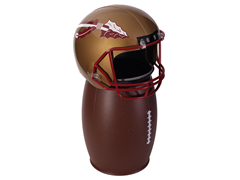 Florida State FANbasket