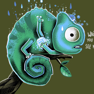 Delicate Chameleon Delicate Chameleon