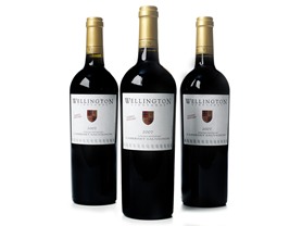 Wellington Sonoma Mountain Cabernet (3)