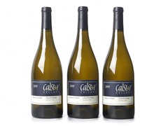 Sangiacomo Sonoma Chardonnay (3)