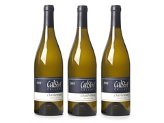 Sonoma Coast Chardonnay (3)