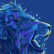 Wild Sea Lion Wild Sea Lion